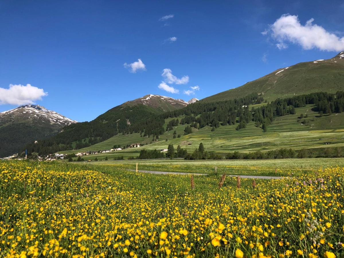 Chalet Breithorn- Perfect For Holiday With Amazing View! Obergesteln Extérieur photo