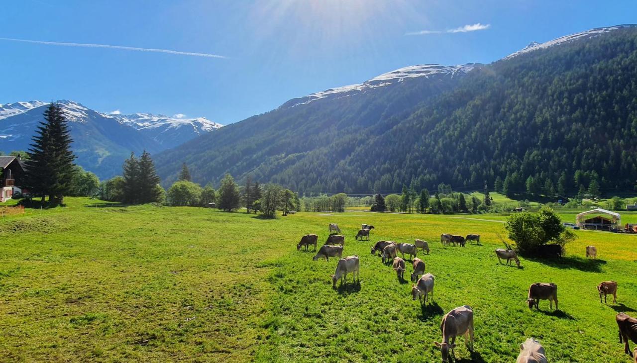 Chalet Breithorn- Perfect For Holiday With Amazing View! Obergesteln Extérieur photo