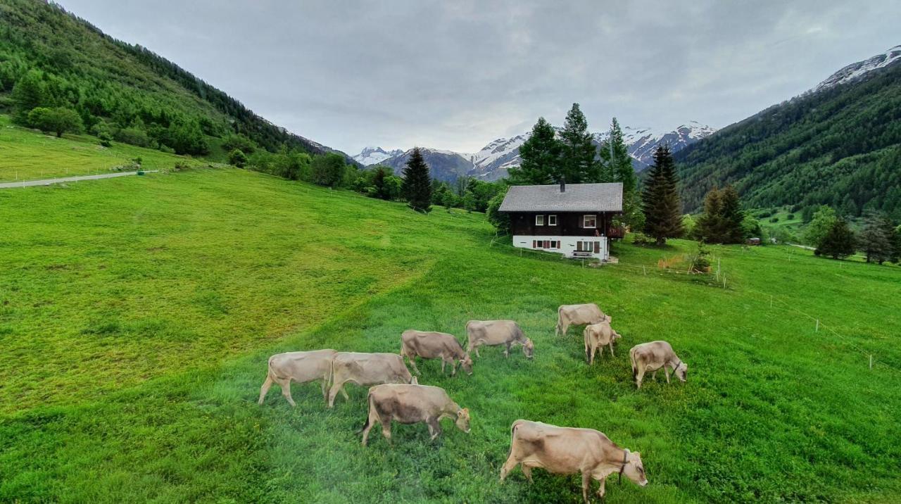 Chalet Breithorn- Perfect For Holiday With Amazing View! Obergesteln Extérieur photo